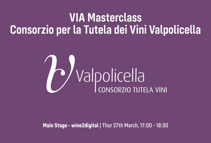 2015 Valpolicella: un’immersione nei migliori vini della DOC